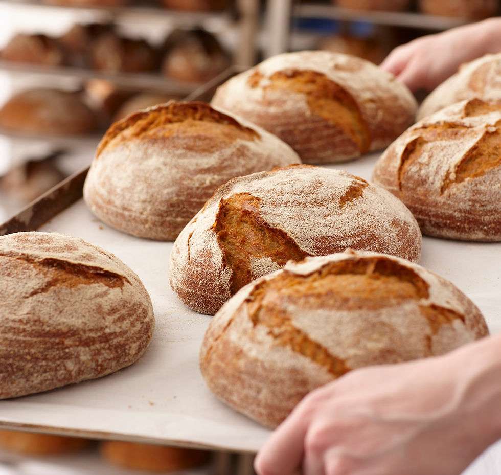 Dreikönigsbäckerei, Haßlerstr. 25, 89077 Ulm - Jetzt vorbestellen unter tel. 0731 / 31 17 4 Dreikönigsbäckerei, Haßlerstr. 25, 89077 Ulm - Jetzt vorbestellen unter tel. 0731 / 31 17 4